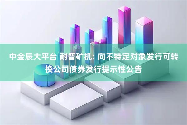 中金辰大平台 耐普矿机: 向不特定对象发行可转换公司债券发行提示性公告