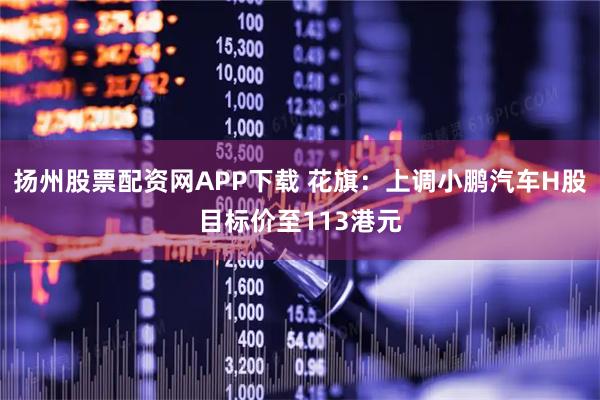扬州股票配资网APP下载 花旗：上调小鹏汽车H股目标价至113港元