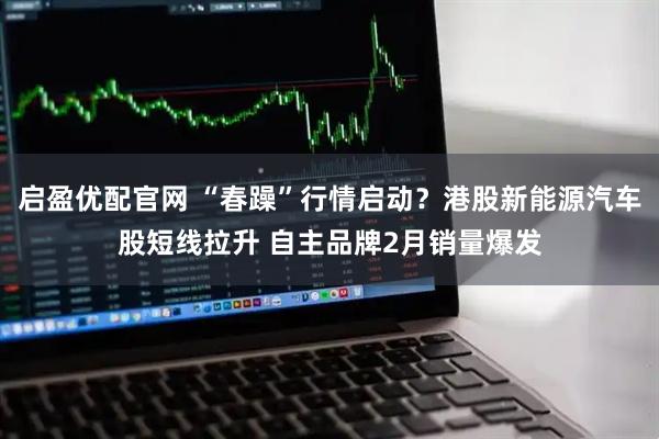 启盈优配官网 “春躁”行情启动？港股新能源汽车股短线拉升 自主品牌2月销量爆发