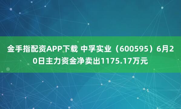 金手指配资APP下载 中孚实业（600595）6月20日主力资金净卖出1175.17万元