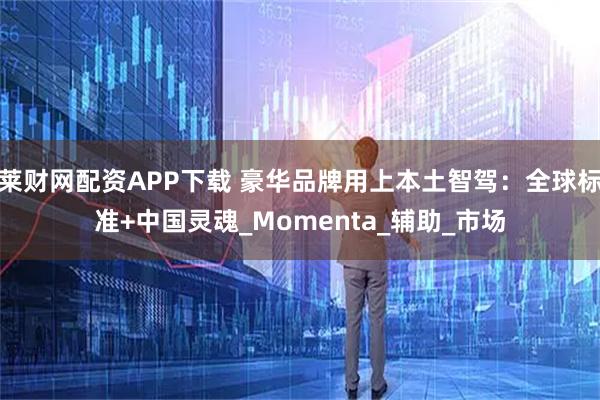莱财网配资APP下载 豪华品牌用上本土智驾：全球标准+中国灵魂_Momenta_辅助_市场